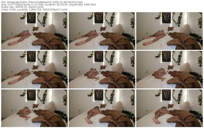 2025/10/28/streamate-katreesexo-06-10-10