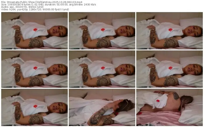 2025/10/28/streamate-kehlanikieu-08-11-03