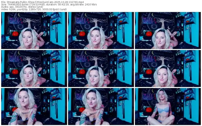 2025/10/28/streamate-missquincam-13-27-40