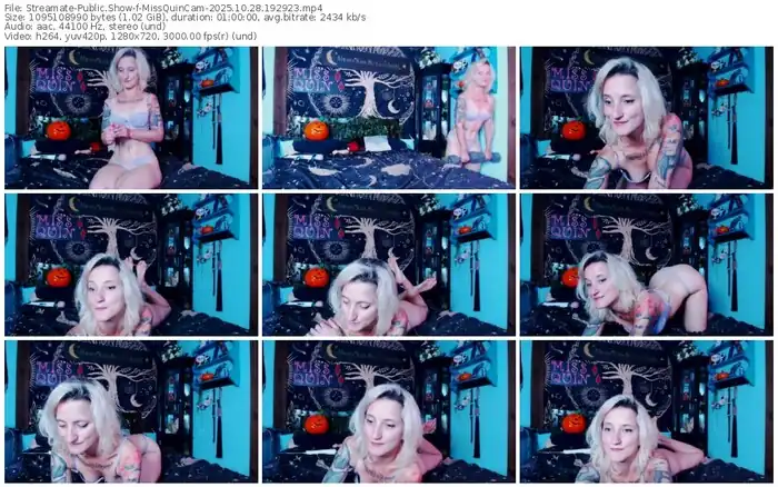 2025/10/28/streamate-missquincam-19-29-23