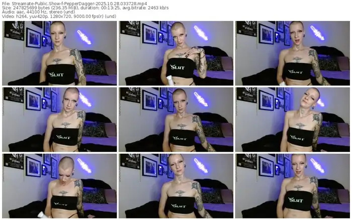 2025/10/28/streamate-pepperdagger-03-37-28