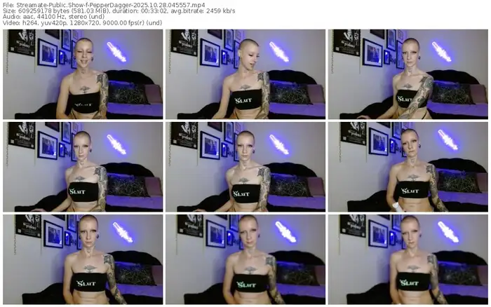 2025/10/28/streamate-pepperdagger-04-55-57