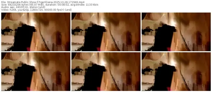 2025/10/28/streamate-tigerliliana-17-29-46