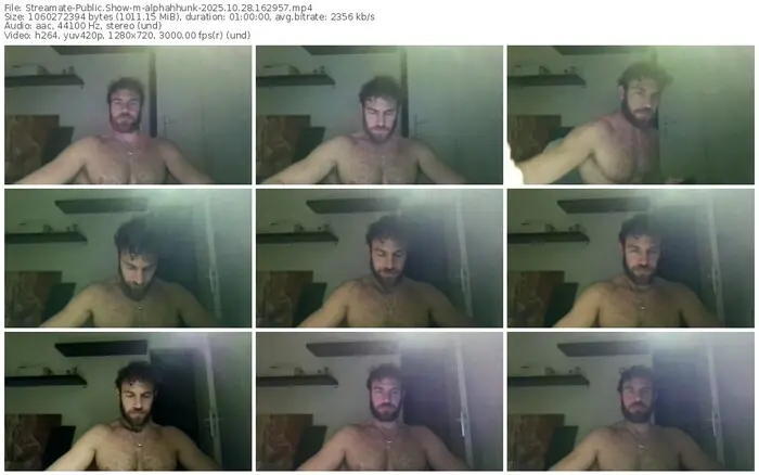 2025/10/28/streamate-alphahhunk-16-29-57