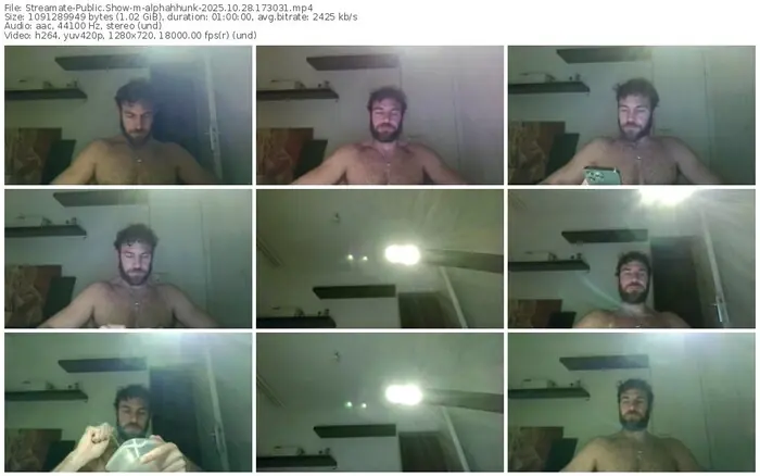 2025/10/28/streamate-alphahhunk-17-30-31