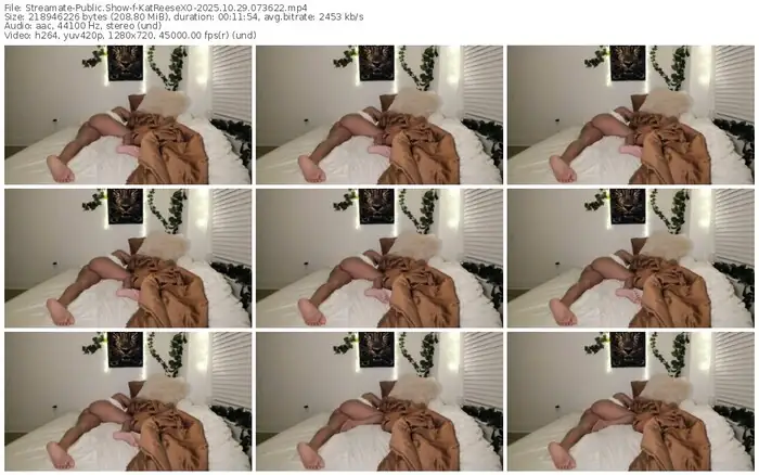 2025/10/29/streamate-katreesexo-07-36-22