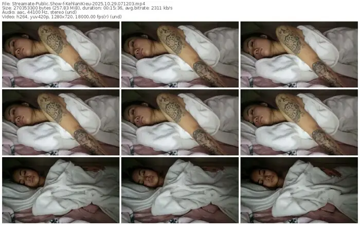 2025/10/29/streamate-kehlanikieu-07-12-03