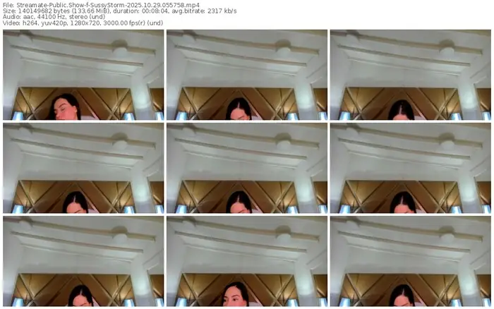 2025/10/29/streamate-sussystorm-05-57-58