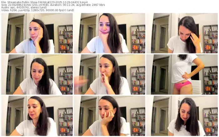 2025/10/29/streamate-wildcat123-04-43-13