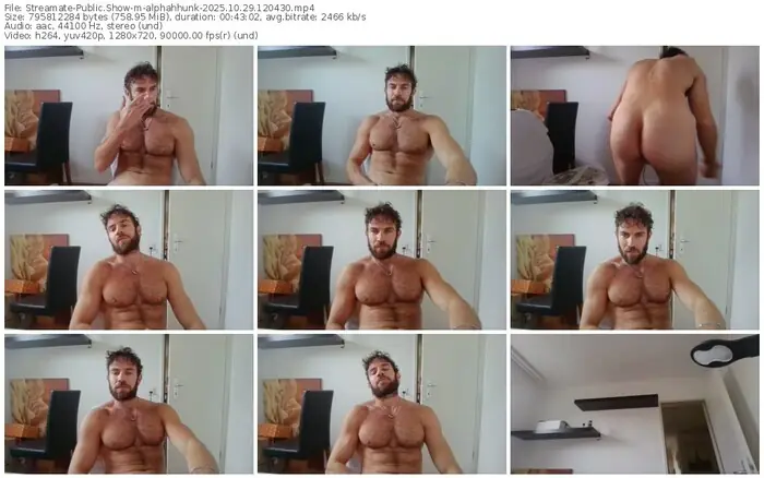2025/10/29/streamate-alphahhunk-12-04-30
