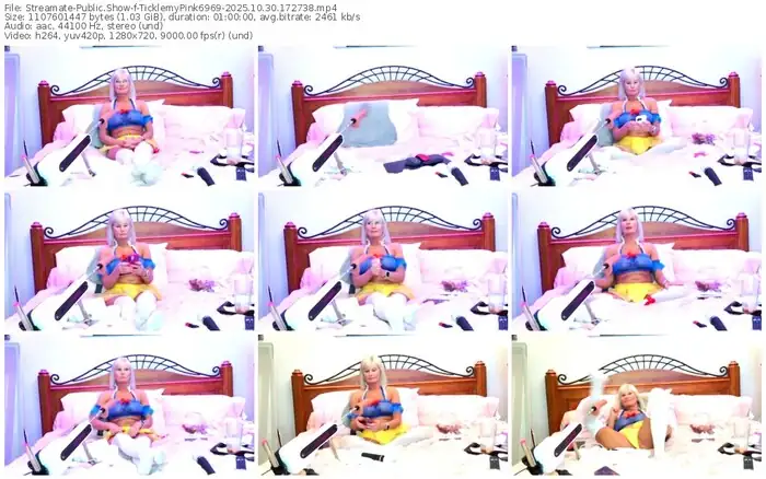 2025/10/30/streamate-ticklemypink6969-17-27-38
