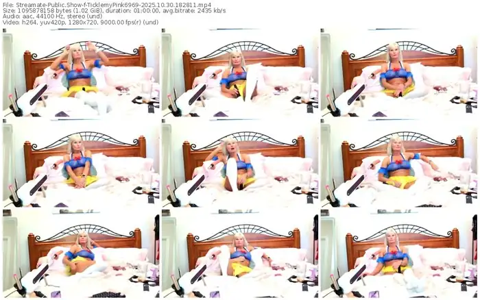 2025/10/30/streamate-ticklemypink6969-18-28-11