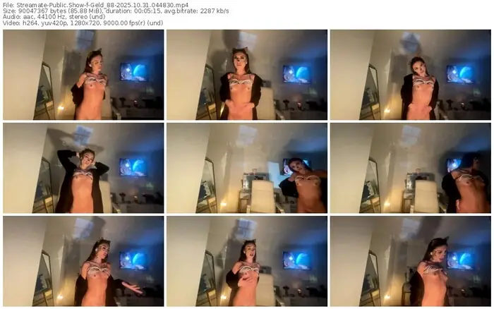 2025/10/31/streamate-geld_88-04-48-30