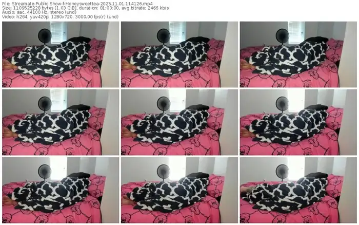 2025/11/01/streamate-honeysweettea-11-41-26