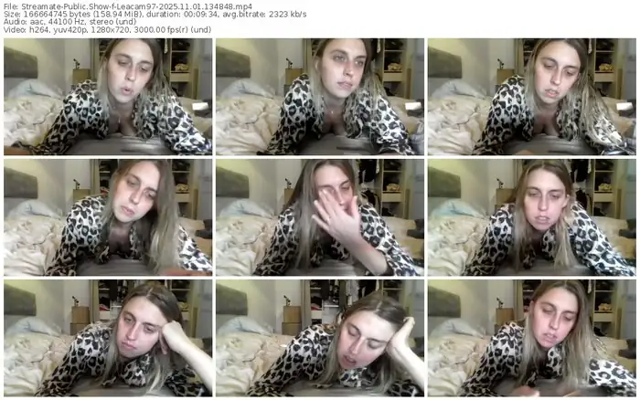 2025/11/01/streamate-leacam97-13-48-48