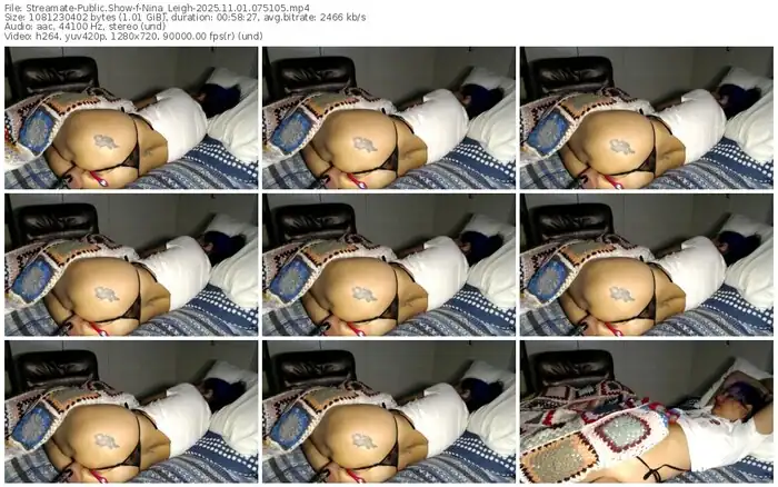 2025/11/01/streamate-nina_leigh-07-51-05
