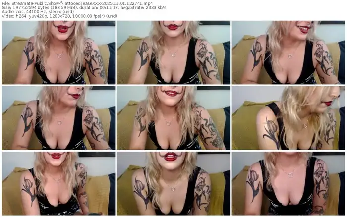 2025/11/01/streamate-tattooedteasexxx-12-27-41