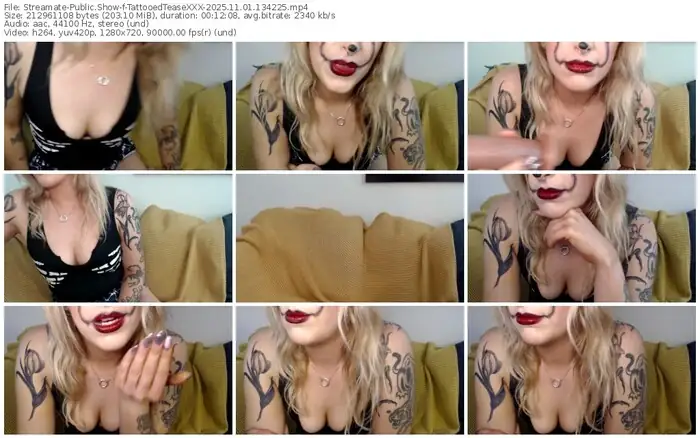 2025/11/01/streamate-tattooedteasexxx-13-42-25