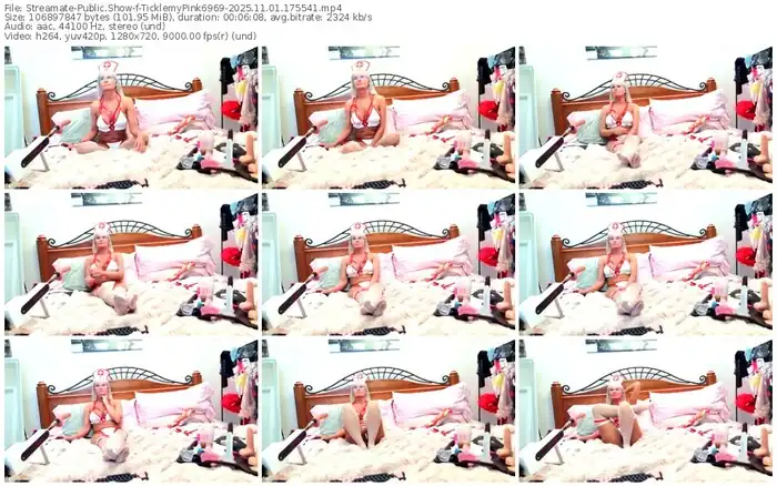 2025/11/01/streamate-ticklemypink6969-17-55-41