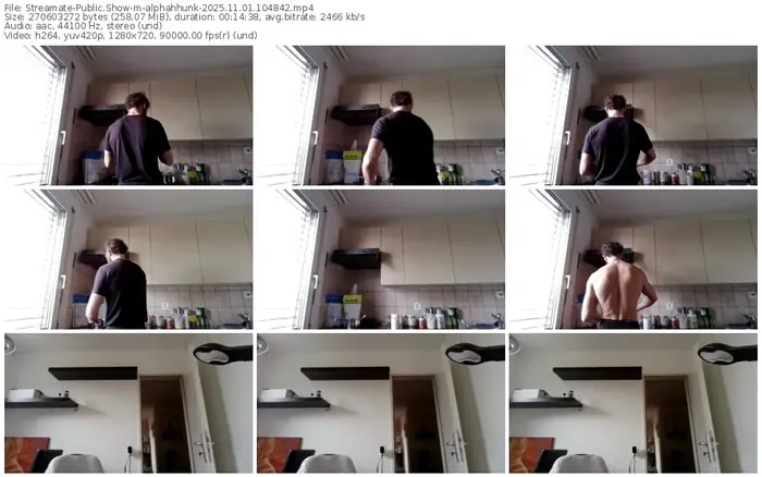 2025/11/01/streamate-alphahhunk-10-48-42