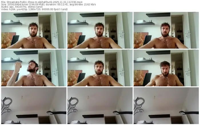 2025/11/01/streamate-alphahhunk-11-23-30