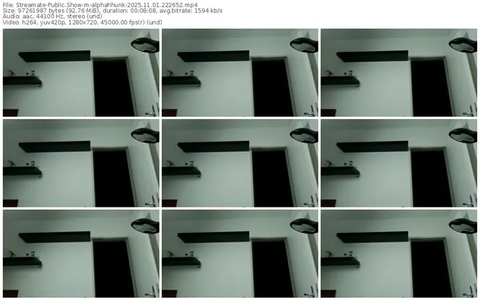 2025/11/01/streamate-alphahhunk-22-26-52