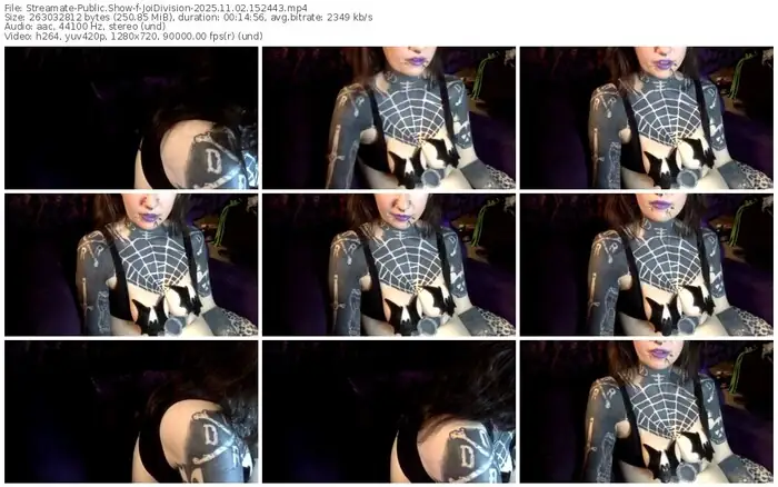 2025/11/02/streamate-joidivision-15-24-43