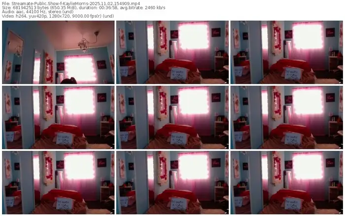 2025/11/02/streamate-kayliemorris-15-49-09