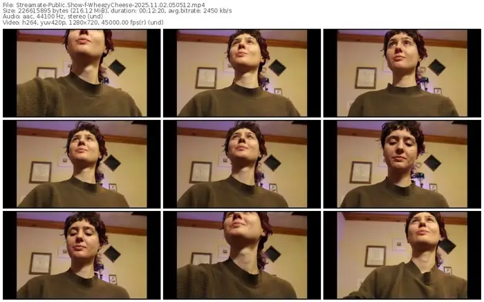 2025/11/02/streamate-wheezycheese-05-05-12