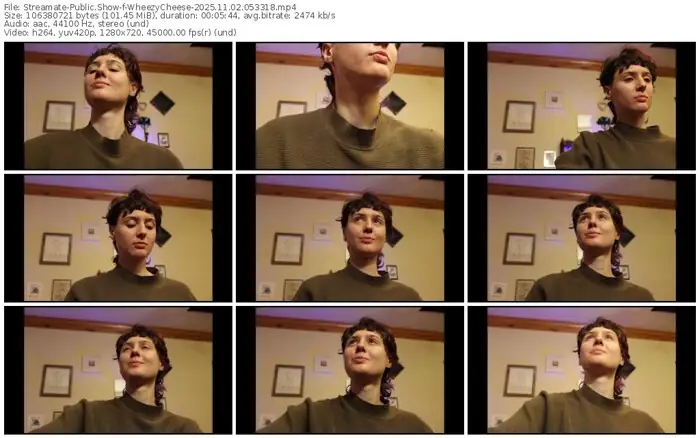 2025/11/02/streamate-wheezycheese-05-33-18