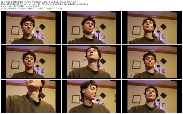 2025/11/02/streamate-wheezycheese-05-44-57