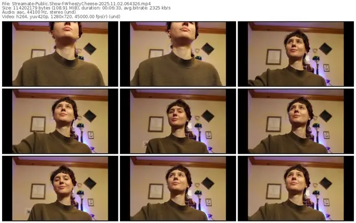 2025/11/02/streamate-wheezycheese-06-43-26