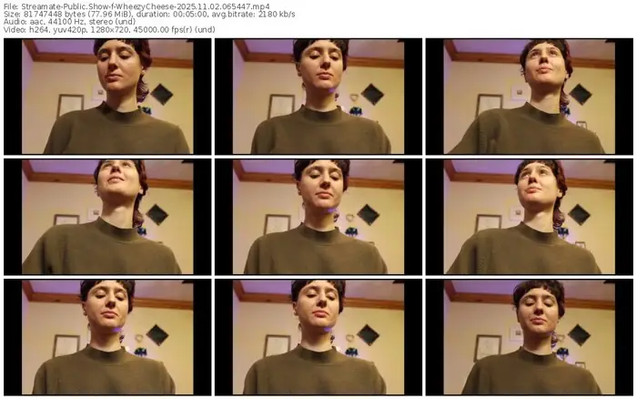 2025/11/02/streamate-wheezycheese-06-54-47