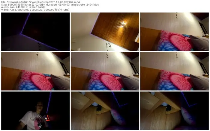 2025/11/03/streamate-hesster-05-24-02