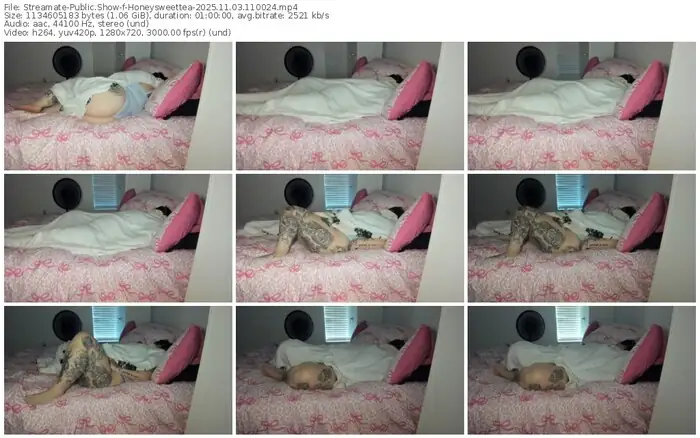 2025/11/03/streamate-honeysweettea-11-00-24