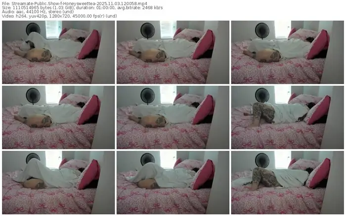 2025/11/03/streamate-honeysweettea-12-00-58