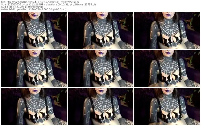2025/11/03/streamate-joidivision-00-28-55
