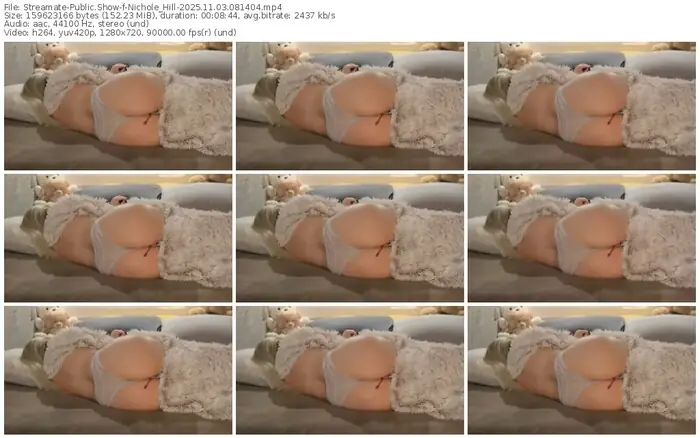 2025/11/03/streamate-nichole_hill-08-14-04