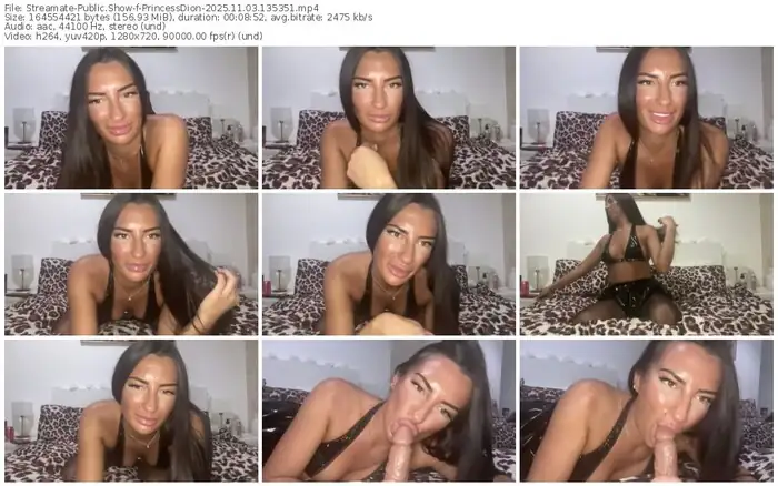 2025/11/03/streamate-princessdion-13-53-51