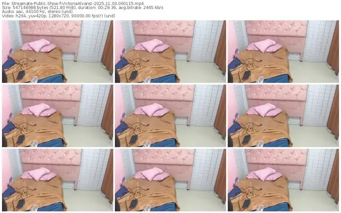 2025/11/03/streamate-victoriaalvarez-06-01-15