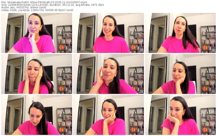 2025/11/03/streamate-wildcat123-03-29-07