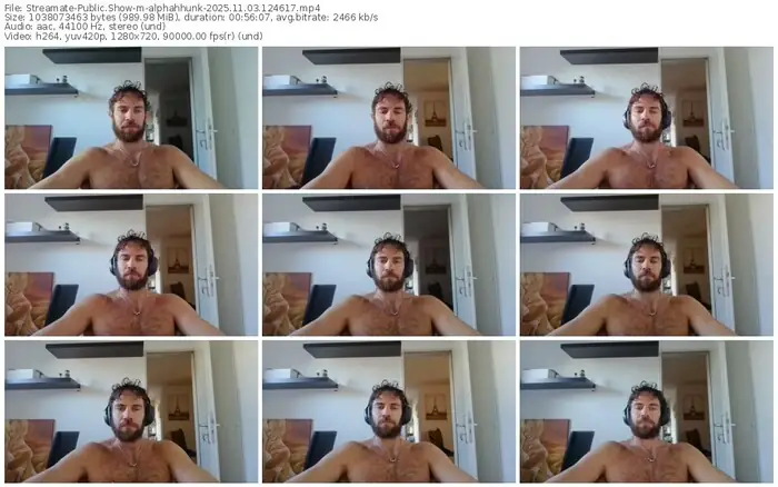 2025/11/03/streamate-alphahhunk-12-46-17