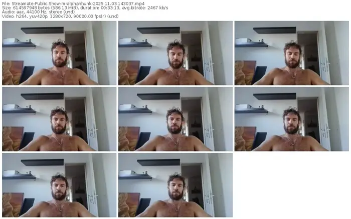 2025/11/03/streamate-alphahhunk-14-30-37