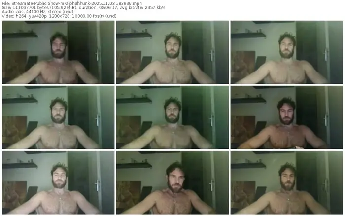 2025/11/03/streamate-alphahhunk-18-39-36
