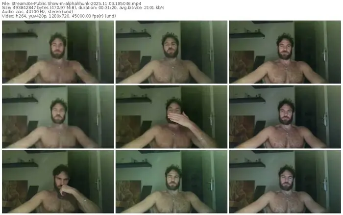 2025/11/03/streamate-alphahhunk-18-50-46