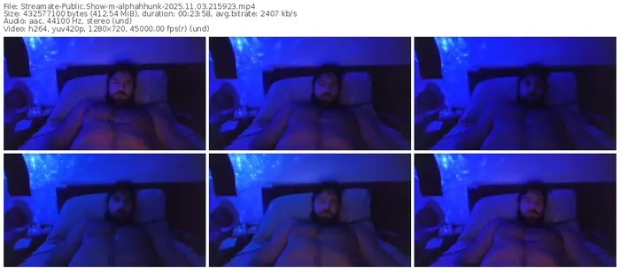 2025/11/03/streamate-alphahhunk-21-59-23