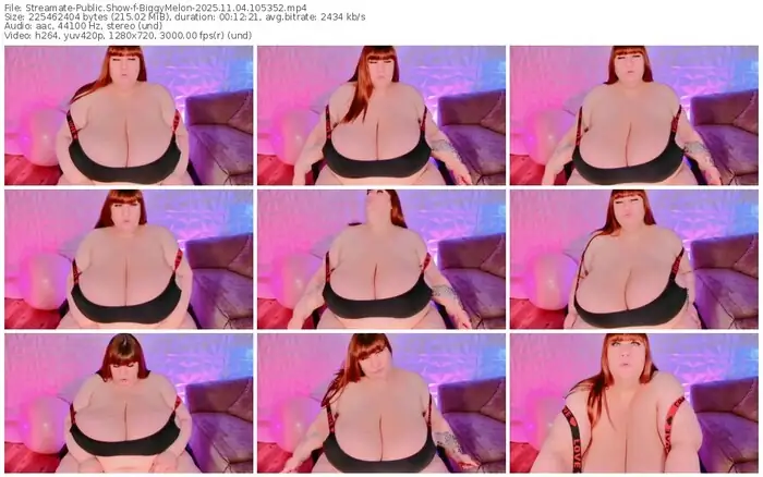 2025/11/04/streamate-biggymelon-10-53-52