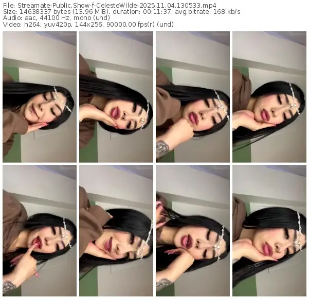 2025/11/04/streamate-celestewilde-13-05-33