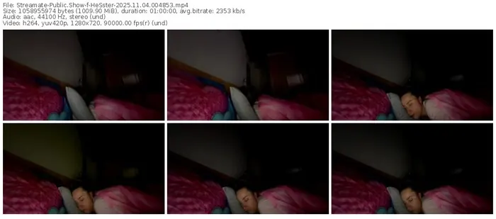 2025/11/04/streamate-hesster-00-48-53