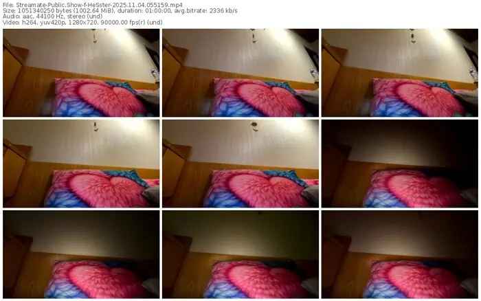 2025/11/04/streamate-hesster-05-51-59